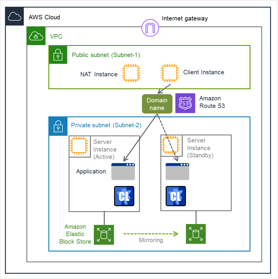 A NAT instance and a client instance within the public subnet, two server instances within the private subnet, and the domain name