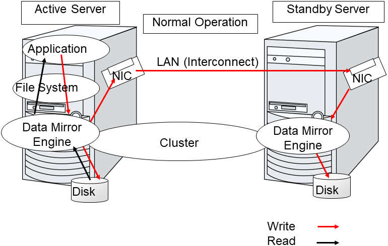 Data mirror mechanism