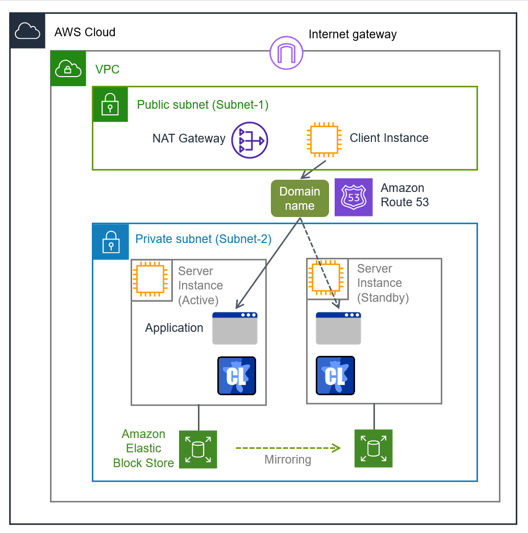 Public subnet 内の NAT Gateway と Client Instance、Private subnet 内の 2 つの Server Instance、および Domain Name